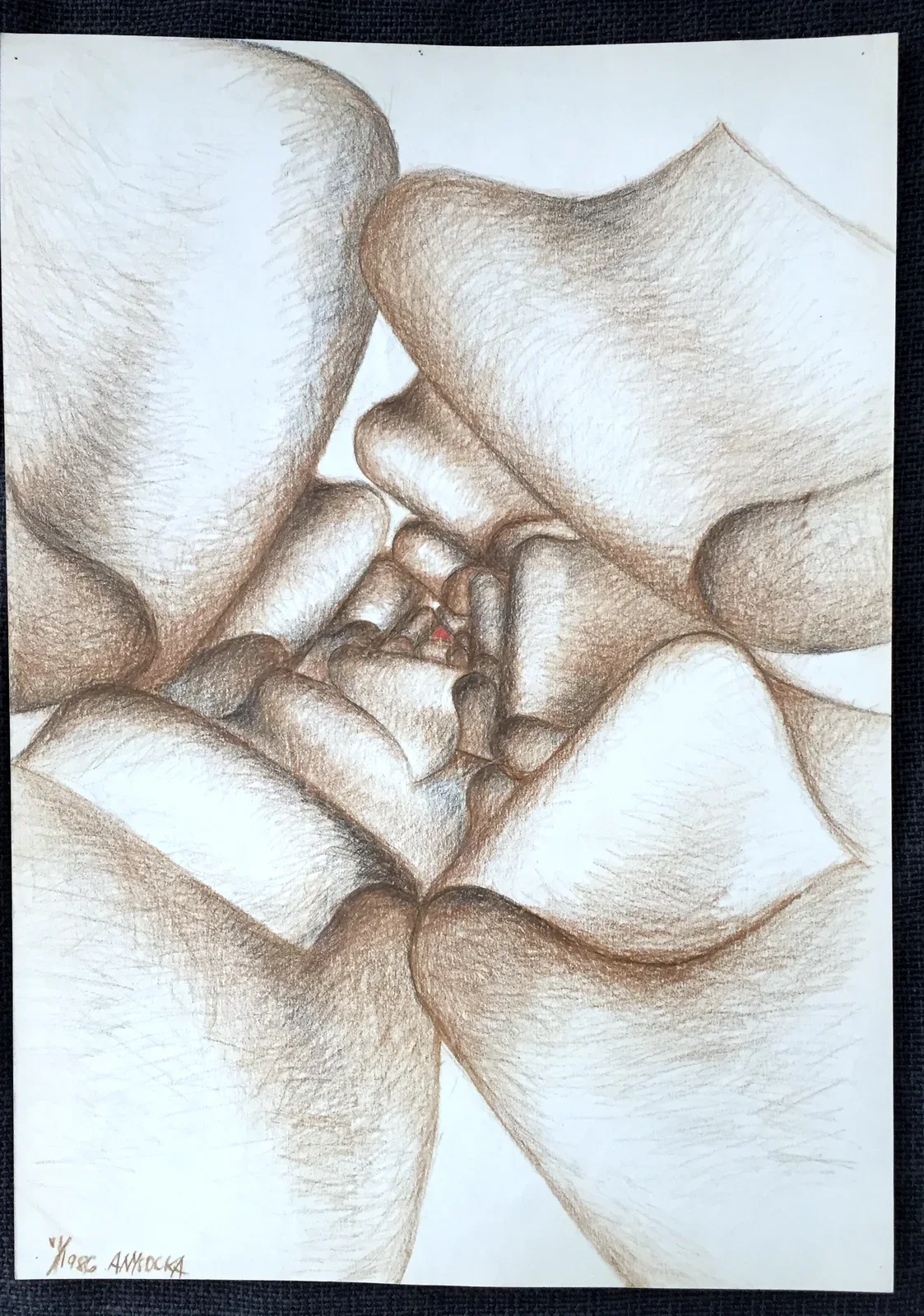 «Róża» (1986), pastello — opera di Antonina Wysocka-Jonczak