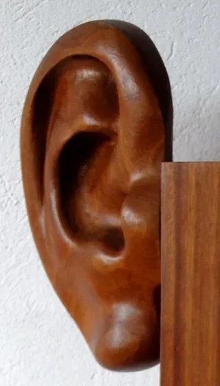 Dettaglio dell’orecchio sinistro: un padiglione umano scolpito nel legno scuro, con l’elica, la conca in ombra e il lobo, addossato allo spigolo netto della tavola verticale