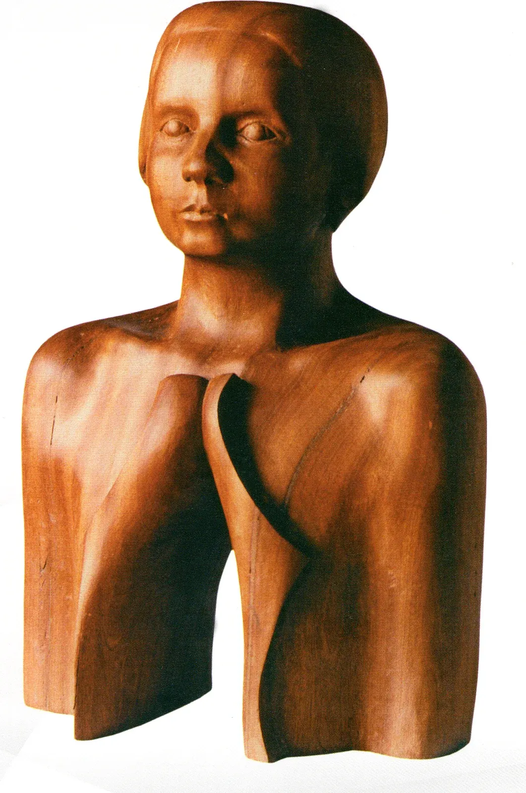 «Rozdarty» (1981–84), mogano — opera di Antonina Wysocka-Jonczak