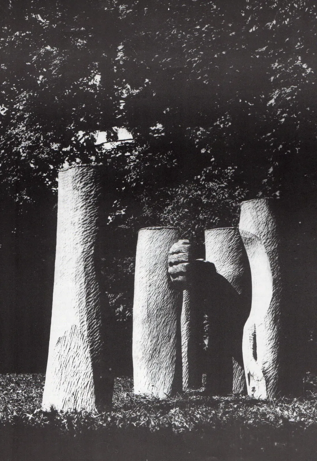 «Ręce» (1971), rovere — opera di Antonina Wysocka-Jonczak